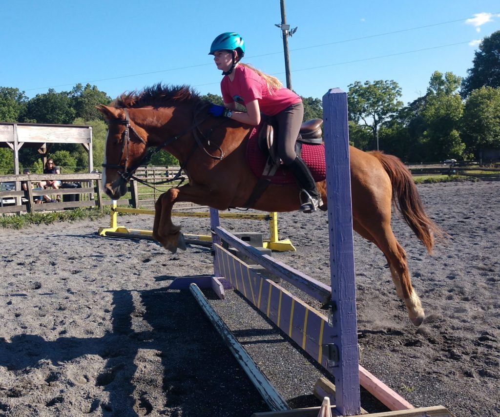 Hunter/Jumper Horseback Riding Lessons Harrisonburg, VA