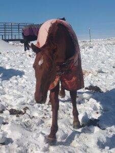 Keezlenutten Farm -
Cider